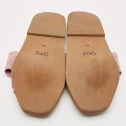 Pre Owned Chloé Purple Canvas Logo Woody Flat Slide Sandals Size 38