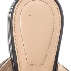 Pre Owned Chloe Metallic Grey Foil Leather Lauren Buckle Strap Flat Slides Size 36