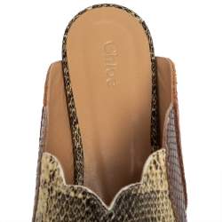 مملوكة مسبقًا حذاء سلايد شانيل جلد نقشة الثعبان متعدد الألوان مقاس 39.5