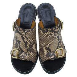 Pre Owned Chloe Brown Python Buckle Mules Size 39