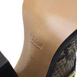 Pre Owned Chloe Brown Python Buckle Mules Size 39