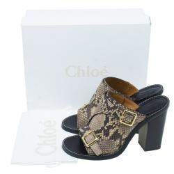 Pre Owned Chloe Brown Python Buckle Mules Size 39