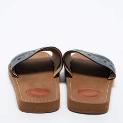 Pre Owned Chloe Multicolor Python Embossed and Croc Embossed Leather Flat Slides Size 37