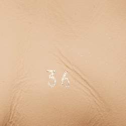 Pre Owned Chloe White Leather Sonnie Low Top Sneakers Size 36