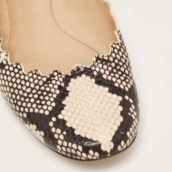 Chloe Two Tone Scalloped Embossed Python Lauren Ballet Flats Size 37