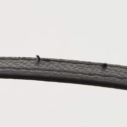 Pre Owned Coach Black/Brown Signature Coated Canvas and Leather Klare Crossbody Bag