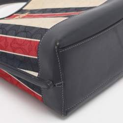 Pre Owned Coach Multicolor Stripe Canvas and Leather Mollie Bucket Bag