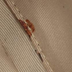 Pre Owned حقيبة كتف كوتش كانفاس مطبوع شعار الماركة بيج/كريمي وجلد