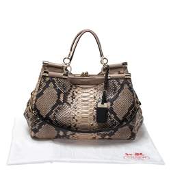 Coach Beige Python Kisslock Madison Satchel