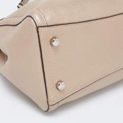 Coach Metallic Beige Leather Mini Brooke Carryall Chain Satchel