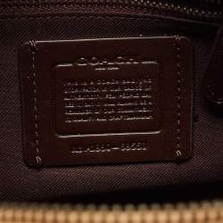 Coach Multicolor Leather Butterfly Applique Dreamer Satchel