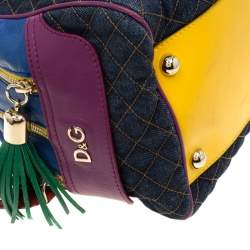 Pre Owned D&G Multicolor Fabric and Leather Lily Glam Bowler Bag