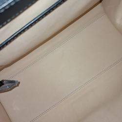 Pre Owned Delvaux Black Leather Briand MM