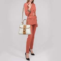 Pre Owned Delvaux Brown/Beige Leather and Raffia Brillant Top Handle Bag