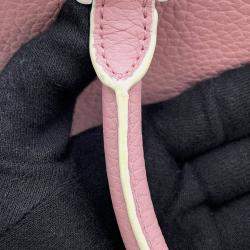 Pre Owned Delvaux Cool Box Pink Grained Calf Leather Size Mini