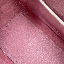 Pre Owned Delvaux Cool Box Pink Grained Calf Leather Size Mini