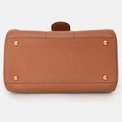 Pre Owned Delvaux Brown Calf Leather Brillant Mini Bag GHW with Strap