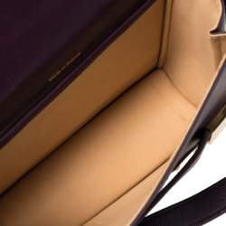 Delvaux Gold/Purple Leather Iron Shield Mini Madame Crossbody Bag 