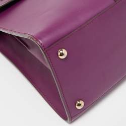 Pre Owned Delvaux Purple Leather Brillant MM Top Handle Bag