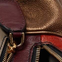 Pre Owned D&G Bronze/Multicolor Leather Lily Satchel