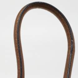 Pre Owned D&G Bronze/Multicolor Leather Lily Satchel