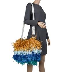 Pre Owned Diane Von Furstenberg Multicolor Raffia and Leather Fringe Shoulder Bag