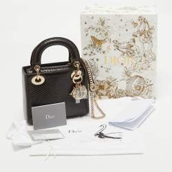 Pre Owned Dior Burgundy Python Mini Lady Dior Tote