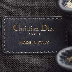 Pre Owned Dior Blue/Beige Oblique Canvas and Leather Medium C'est Dior Bag