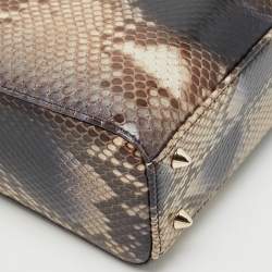 Dior Brown Python Small Lady Dior Tote