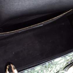 مملوكة مسبقًا Dior Black Animal Embroidered Leather Medium Lady Dior Shoulder Bag
