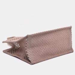 Dior Clay-Colored Mesh Embroidery Small Book Tote