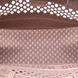 Dior Clay-Colored Mesh Embroidery Small Book Tote
