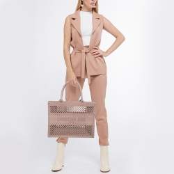 Dior Clay Fishnet Mesh Embroidered Canvas Medium Book Tote