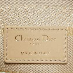 Dior Multicolor Stripe Embroidered Canvas Medium Lady D-Lite Tote