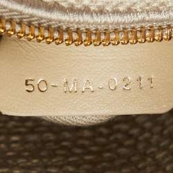Dior Multicolor Stripe Embroidered Canvas Medium Lady D-Lite Tote