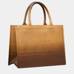 Pre Owned Christian Dior Brown Calfskin Medium Dior Book Tote