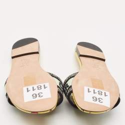 Pre Owned Dior Multicolor Embroidered Canvas Dway Flat Slides Size 36