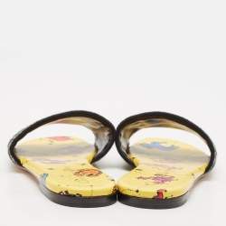 Pre Owned Dior Multicolor Embroidered Canvas Dway Flat Slides Size 36