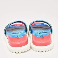 Pre Owned Dior Multicolor Canvas Dway Flat Slides Size 36.5