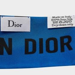 Pre Owned Dior Blue Stripe Print Silk Mitzah Scarf
