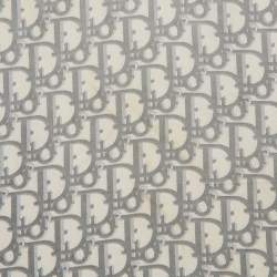 Dior Grey Oblique Silk Fringed Scarf 