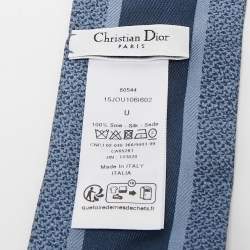 Dior Blue Silk Toile de Jouy Sauvage Mitzah Scarf