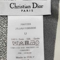 Christian Dior Grey Silk Jardin d'Hiver Mitzah Scarf