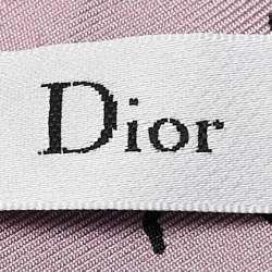 Dior Multicolor Print Silk Judgement Mitzah Scarf