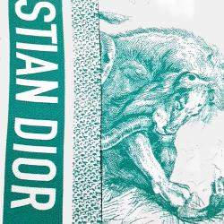 Pre Owned Christian Dior twilly scarf