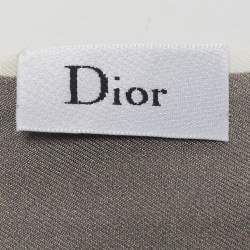 Pre Owned Dior Multicolor ABCDior G Silk Mitzah Scarf