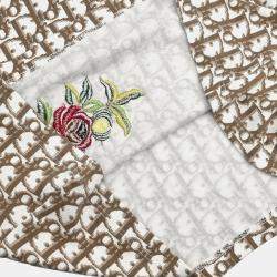 Pre Owned تيشيرت بدون أكمام كريستيان ديور تروتر بني مقاس صغير فئة 36