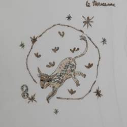 Pre Owned Christian Dior White Embroidered Tulle Le Taureau T-Shirt M