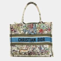 Dior Multicolor Embroidered Canvas Medium Book Tote