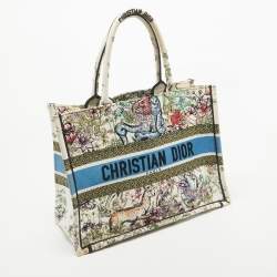 Dior Multicolor Embroidered Canvas Medium Book Tote